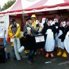 Le CRADO sur les marchés de Noël de Diwan et de Trébeurden