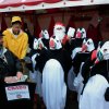 Le CRADO sur les marchés de Noël de Diwan et de Trébeurden